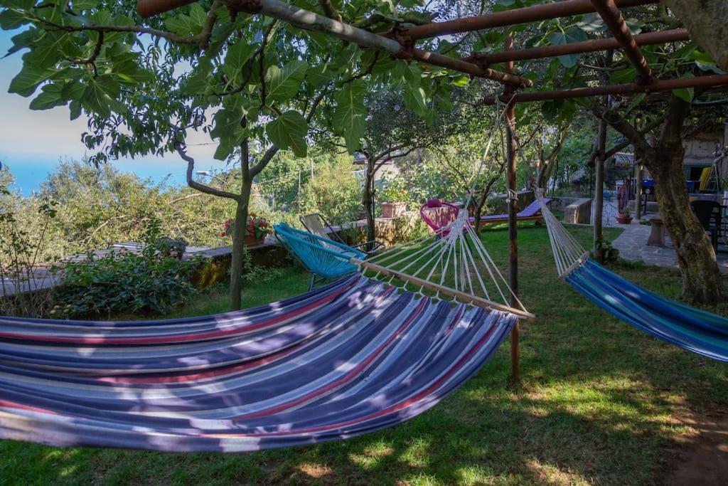 Colli di Fontanelle Amalfi Coast, Positano, Sorrento, Capri, Garden, Villa Carcara מראה חיצוני תמונה