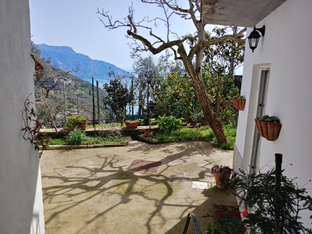 Colli di Fontanelle Amalfi Coast, Positano, Sorrento, Capri, Garden, Villa Carcara מראה חיצוני תמונה