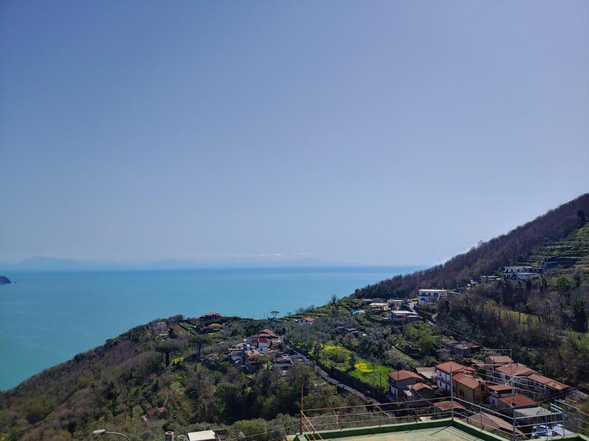 Colli di Fontanelle Amalfi Coast, Positano, Sorrento, Capri, Garden, Villa Carcara מראה חיצוני תמונה