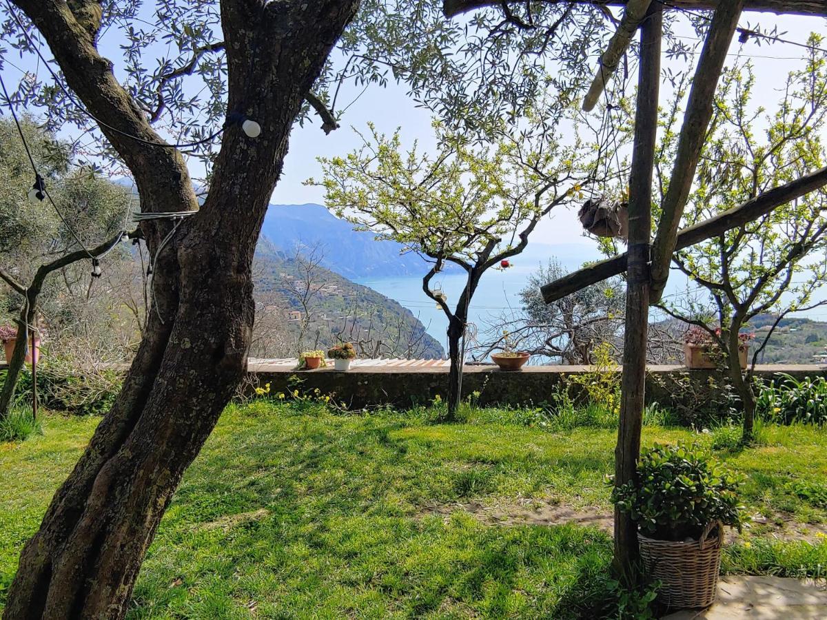 Colli di Fontanelle Amalfi Coast, Positano, Sorrento, Capri, Garden, Villa Carcara מראה חיצוני תמונה