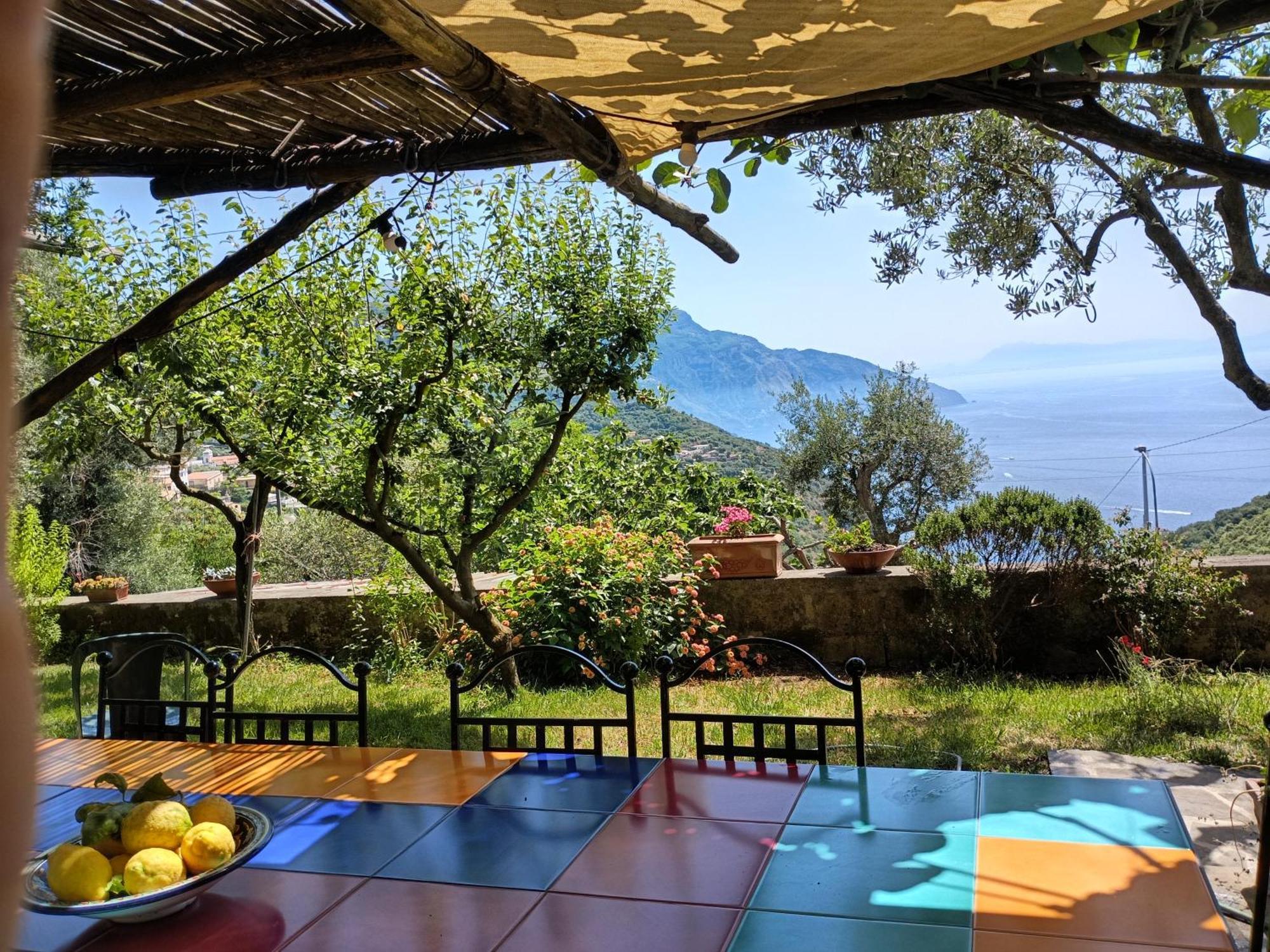 Colli di Fontanelle Amalfi Coast, Positano, Sorrento, Capri, Garden, Villa Carcara מראה חיצוני תמונה